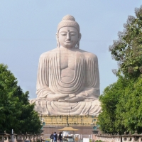 80feet buddha logo