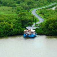 local ferry in goa