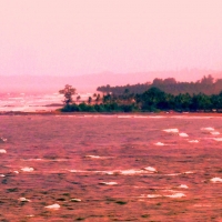 beach shore in Goa