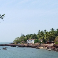 dona paula