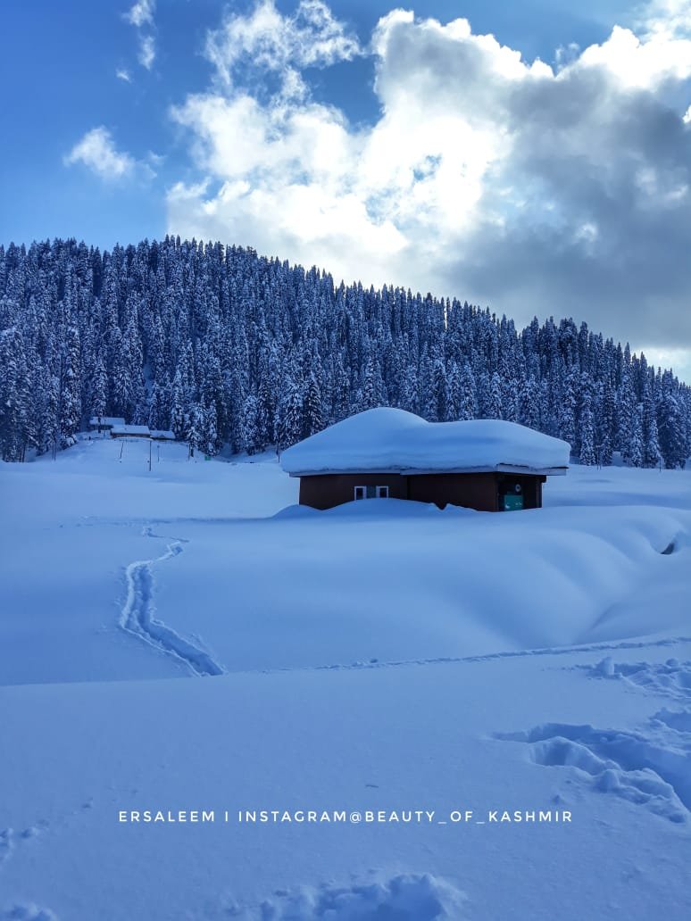 1_gulmarg-in-snow
