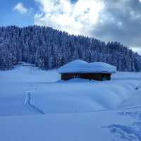 1_gulmarg-in-snow
