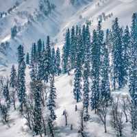gulmarg-valley-snow
