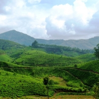 Munnar tea gardens3 logo