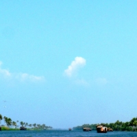 backwater highway logo