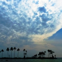 backwater skyline kerala