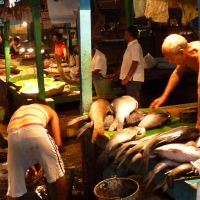 fish market kolkata