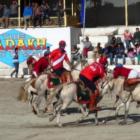 Ladakh Festival