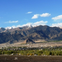 Leh Valley view