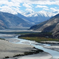 Shey river Nubra