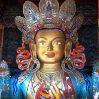 buddha ladakh