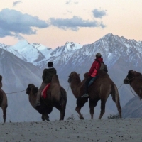 hunder desert camel ride