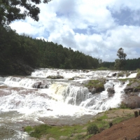 Nilgiris Pykara