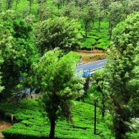 Valparai Roadway