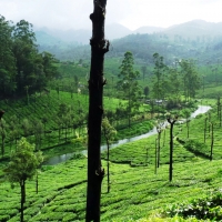 Valparai waterway