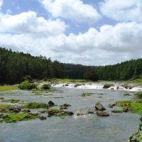 pykara Waterfall
