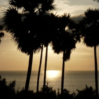 rameshwaram shores