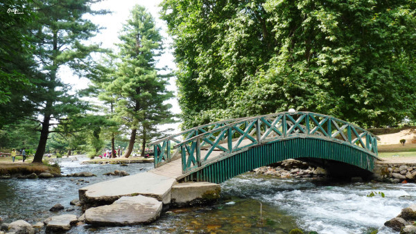 Kokernag Botanical Gardens