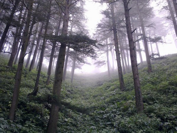 Himachal-6